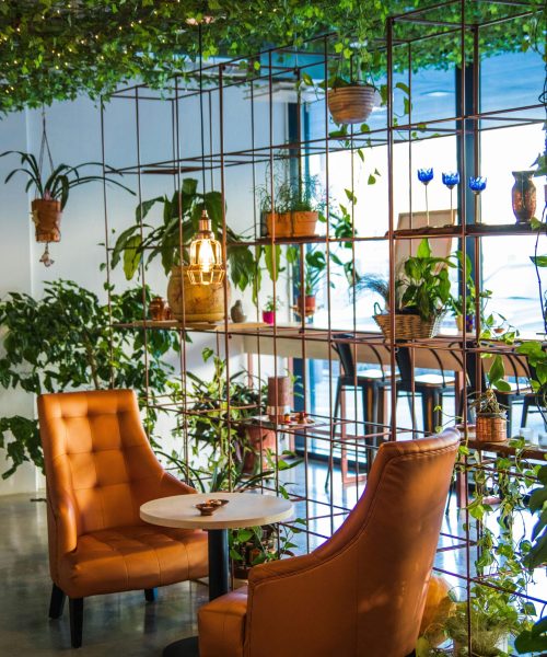 Inviting café corner with lush plants and cozy seating, perfect for relaxation.